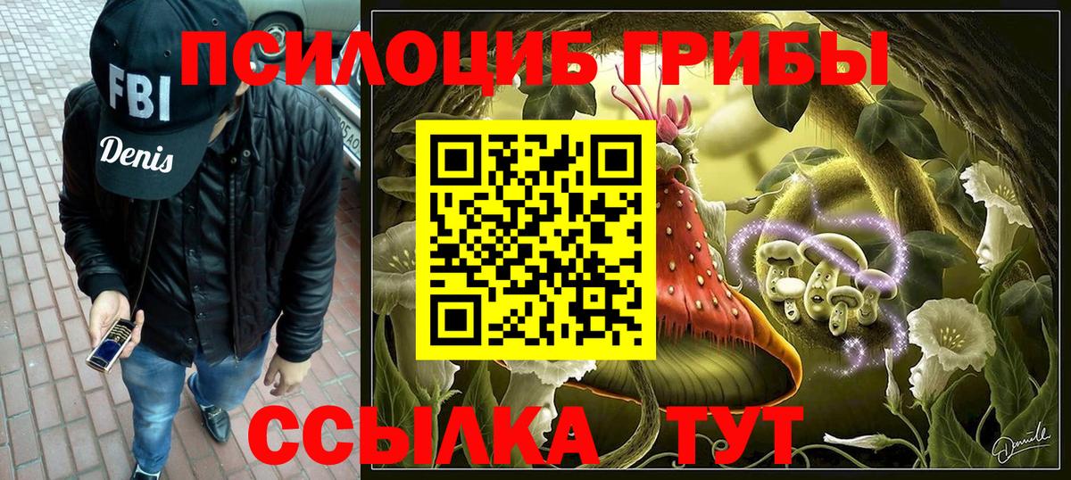Псилоцибиновые грибы ЛСД Кыштым
